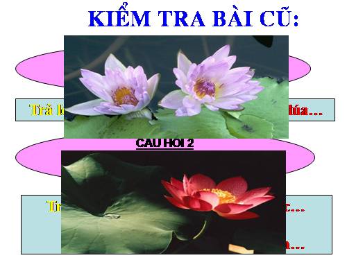 Bài 27. Loài vật sống ở đâu?