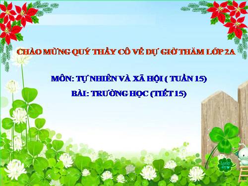 Bài 15. Trường học
