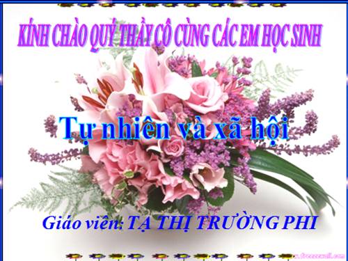 Bài 5. Cơ quan tiêu hoá