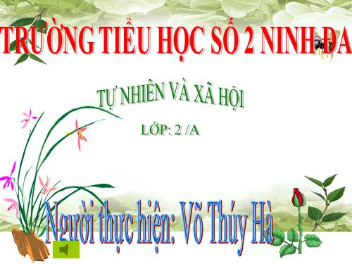 Bài 13. Giữ sạch môi trường xung quanh nhà ở