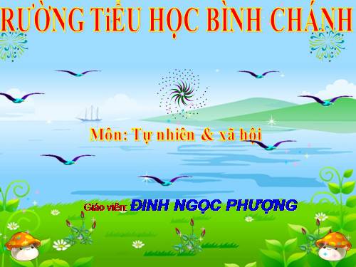 Bài 27. Loài vật sống ở đâu?
