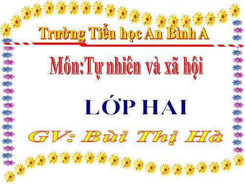 Bài 28. Một số loài vật sống trên cạn