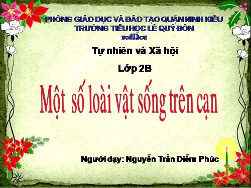 Bài 28. Một số loài vật sống trên cạn