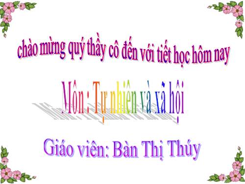 Bài 24. Cây sống ở đâu?