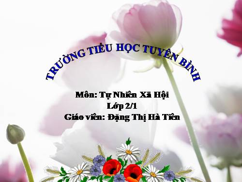 Bài 24. Cây sống ở đâu?