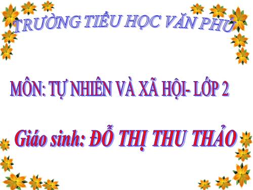 Bài 26. Một số loài cây sống dưới nước