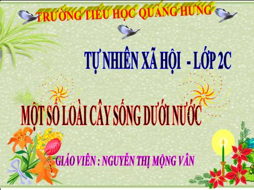 Bài 26. Một số loài cây sống dưới nước