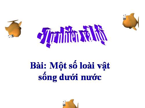 Bài 28. Một số loài vật sống trên cạn