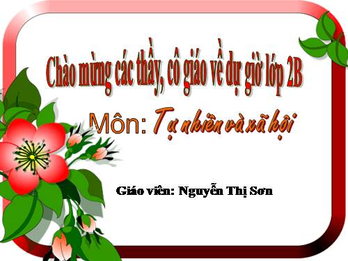 Bài 25. Một số loài cây sống trên cạn