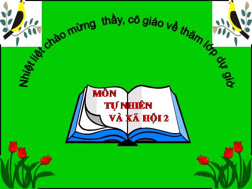 Bài 29. Một số loài vật sống dưới nước
