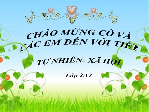 Bài 24. Cây sống ở đâu?