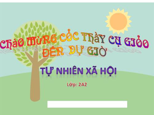Bài 25. Một số loài cây sống trên cạn