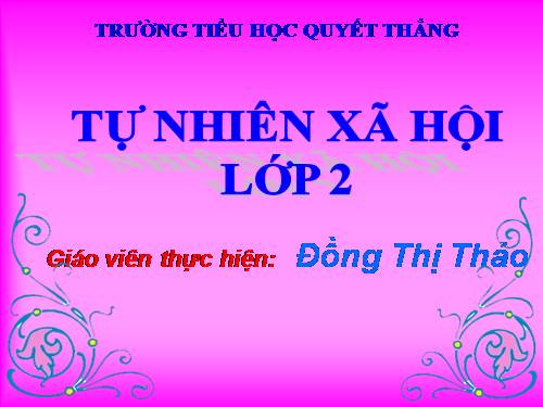 Bài 3. Hệ cơ