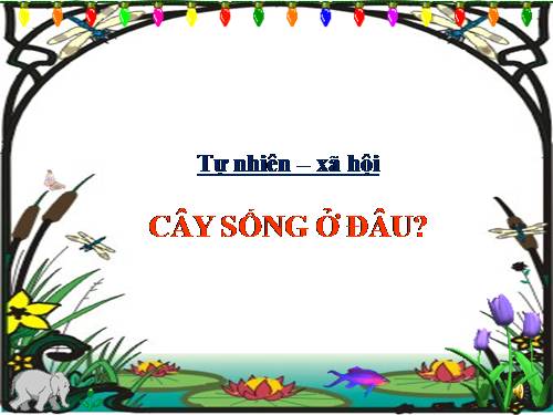 Bài 24. Cây sống ở đâu?