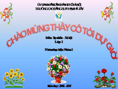 Bài 25. Một số loài cây sống trên cạn