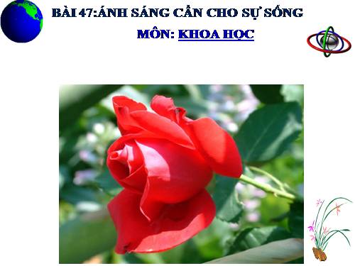 Bài 24. Cây sống ở đâu?