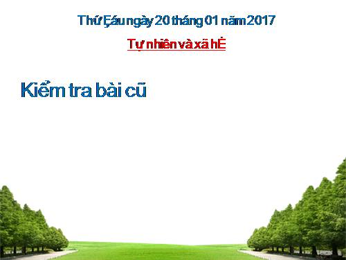 Bài 20. An toàn khi đi các phương tiện giao thông
