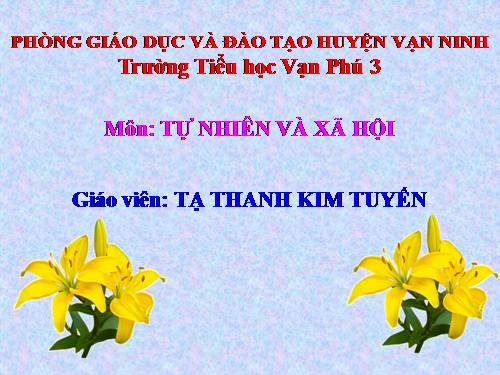 Bài 31. Mặt Trời
