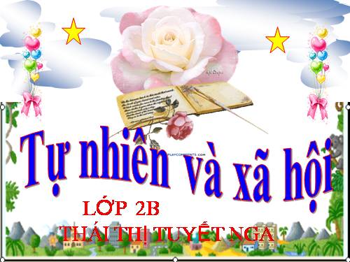Bài 23. Ôn tập: Xã hội