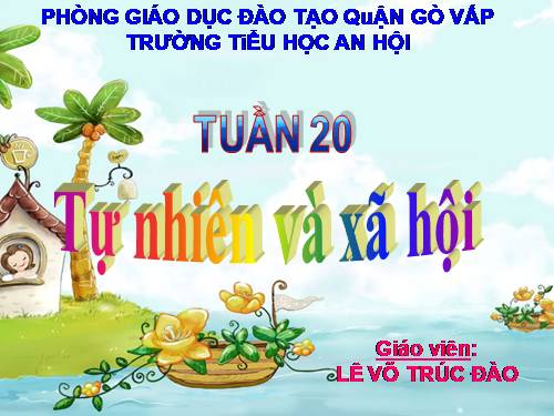 Bài 20. An toàn khi đi các phương tiện giao thông