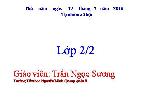 Bài 31. Mặt Trời