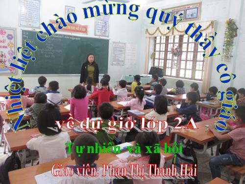 Bài 15. Trường học