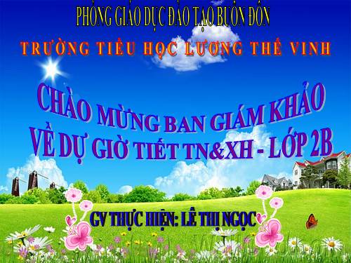 Bài 15. Trường học