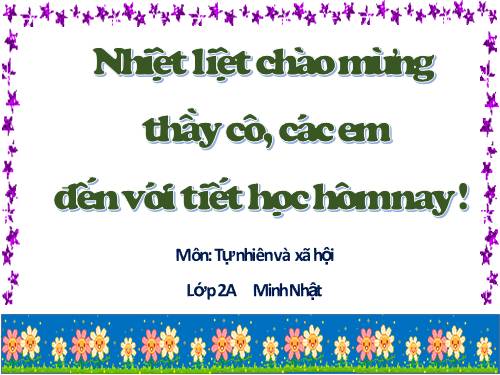 Bài 33. Mặt Trăng và các vì sao