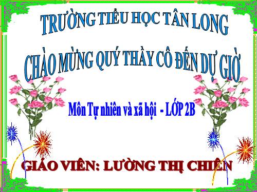 Bài 16. Các thành viên trong nhà trường