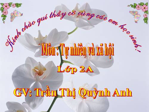 Bài 13. Giữ sạch môi trường xung quanh nhà ở