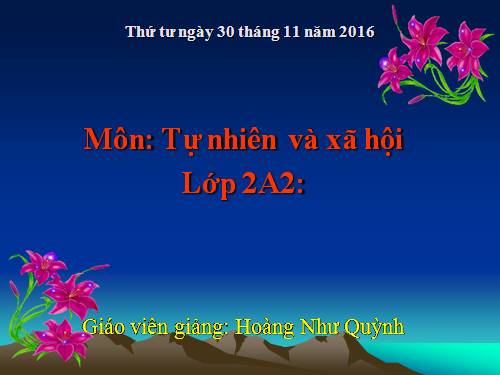 Bài 15. Trường học
