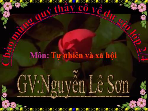 Bài 20. An toàn khi đi các phương tiện giao thông