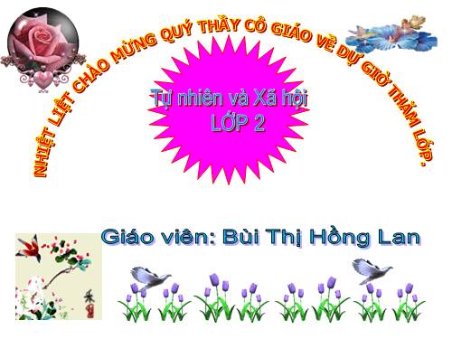 Bài 11. Gia đình