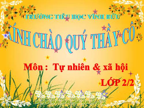Bài 11. Gia đình