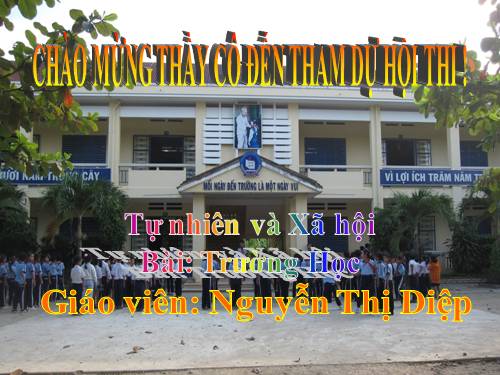 Bài 15. Trường học