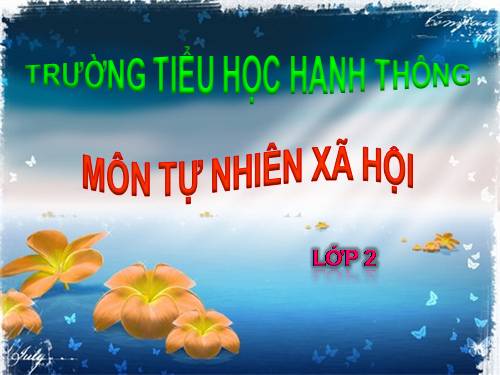 Bài 27. Loài vật sống ở đâu?