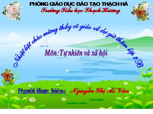 Bài 20. An toàn khi đi các phương tiện giao thông