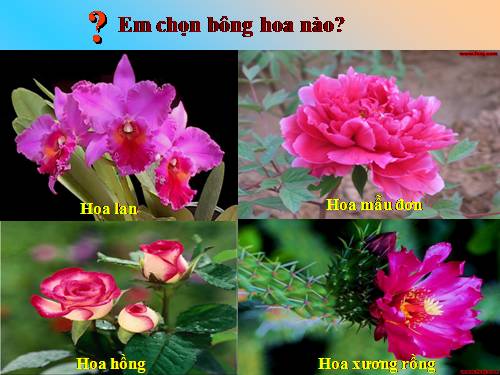 Bài 7. Ăn, uống đầy đủ