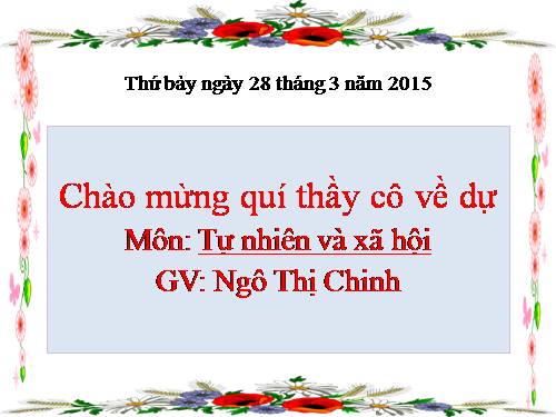 Bài 29. Một số loài vật sống dưới nước