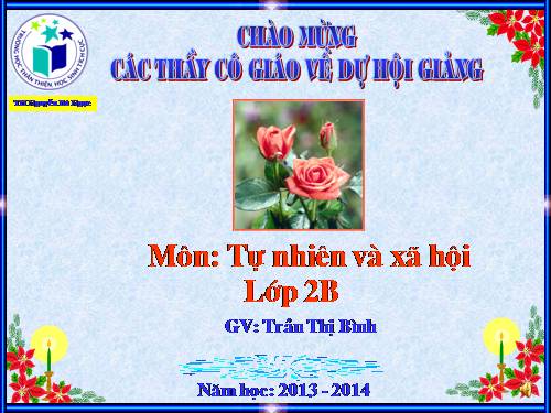 Bài 11. Gia đình