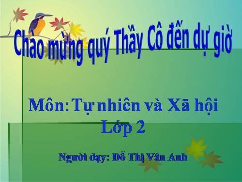 Bài 27. Loài vật sống ở đâu?
