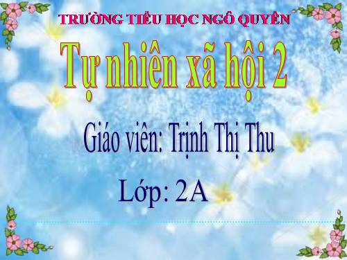 Bài 8. Ăn, uống sạch sẽ