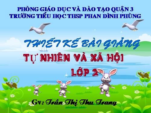 Bài 9. Đề phòng bệnh giun