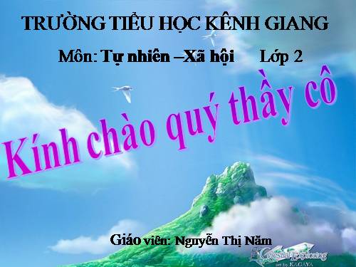 Bài 8. Ăn, uống sạch sẽ