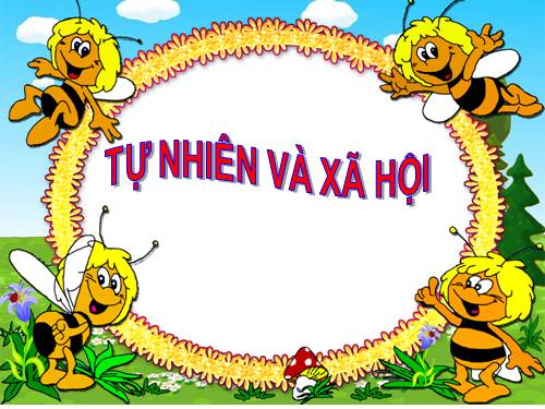 Bài 6. Tiêu hoá thức ăn