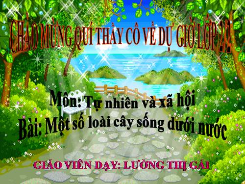 Bài 26. Một số loài cây sống dưới nước