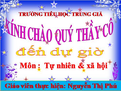 Bài 11. Gia đình