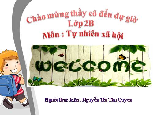 Bài 28. Một số loài vật sống trên cạn