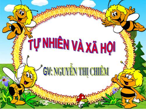 Bài 6. Tiêu hoá thức ăn