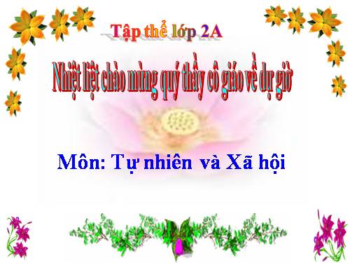 Bài 11. Gia đình